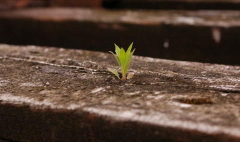 © 2005-2012 Marcus Köhler