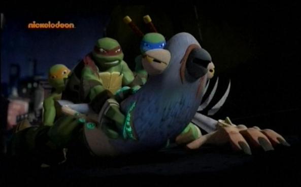 In New York gibt es so ziemlich alles. Sogar mutierte Tauben.