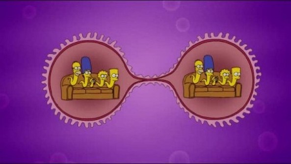 © Copyright Matt Groening & 20th Century Fox