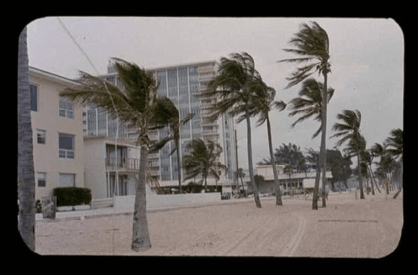 Keinen interessiert Cliffs Urlaubsbilder.