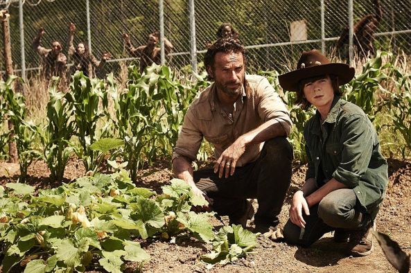 Die Farm im Gefängnis