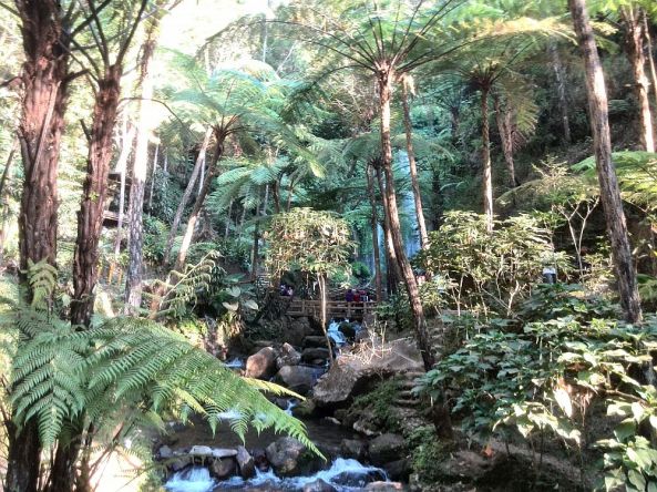Die Landschaft am Jumog Wasserfall