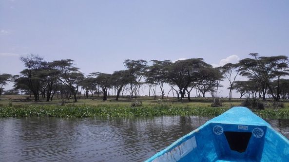 Pure Hitze am Naivashasee