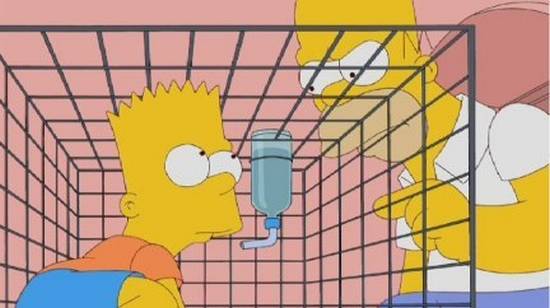 © Copyright Matt Groening & 20th Century Fox