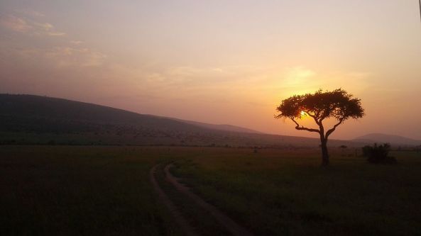Sonnenuntergang in Afrika