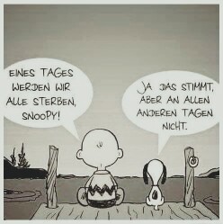 edited_fb_img_1475361408904