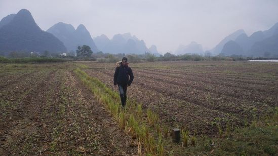 China 2017 Eine Wanderung entlang der Kegelkarstberge