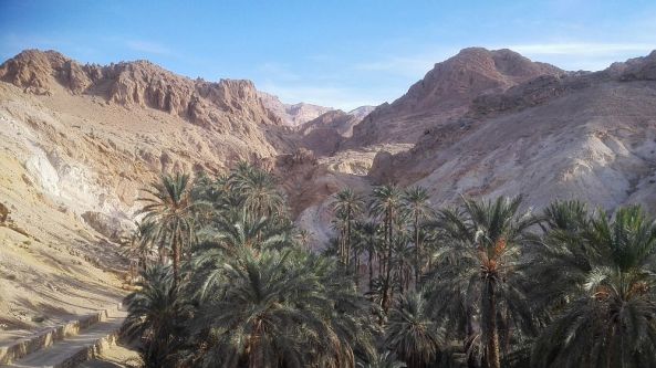 Die Oase im Berg Chebika