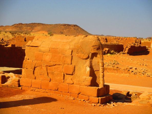 Was macht der Elefant hier?