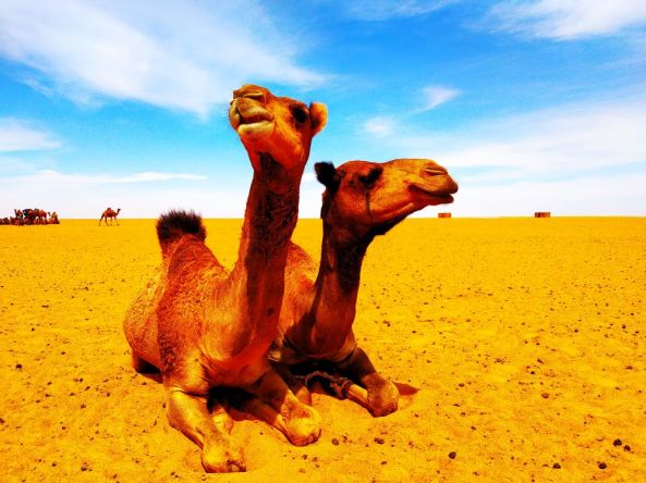 Es war eine Expedition in den Tschad